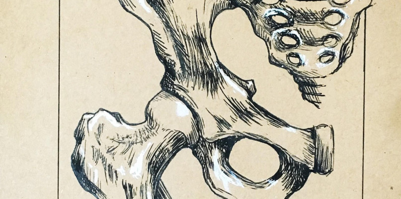 Fizjoterapia uroginekologiczna i fizjoterapia dna miednicy - część druga