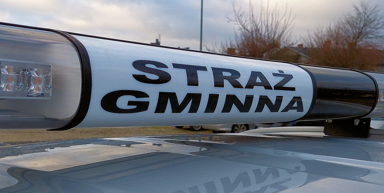 Statystyki Straży Gminnej w Dopiewie 05.2024