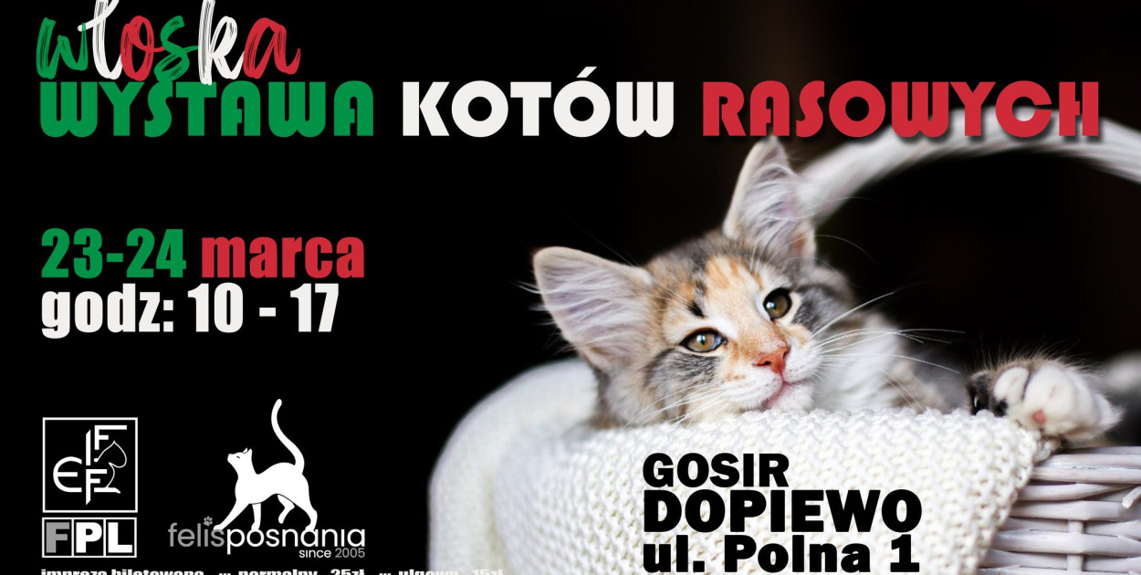 Włoska wystawa Kotów Rasowych VIVA ITALIA w Dopiewie