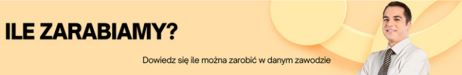  ile-zarabiamy.pl