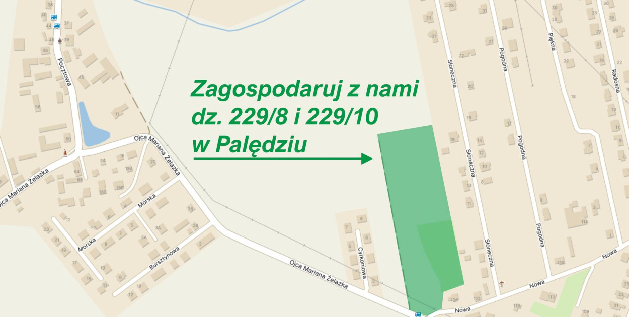 Palędzie