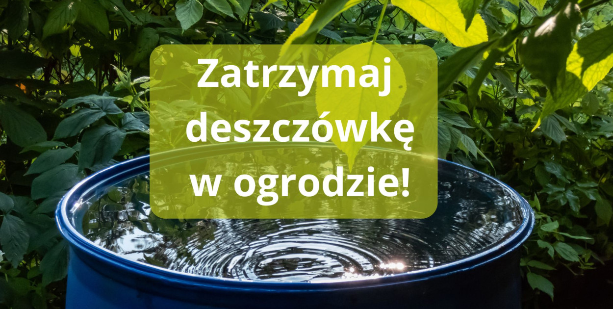 Weź pieniądze na zatrzymanie deszczówki w ogrodzie!