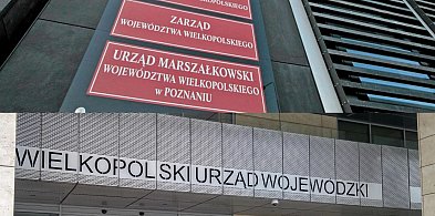 Marszałek i Wojewoda, co za różnica?-5903