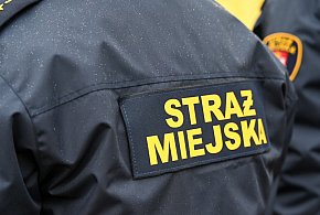 Zapuka strażnik, zapłacisz karę. Ruszyły kontrole w całej Polsce-10578