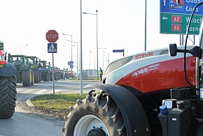 Rolnicy zapowiadają protest w całym kraju. Skala może zaskoczyć-10974