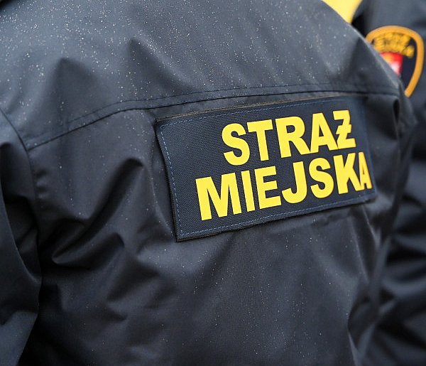 Zapuka strażnik, zapłacisz karę. Ruszyły kontrole w całej Polsce-10578