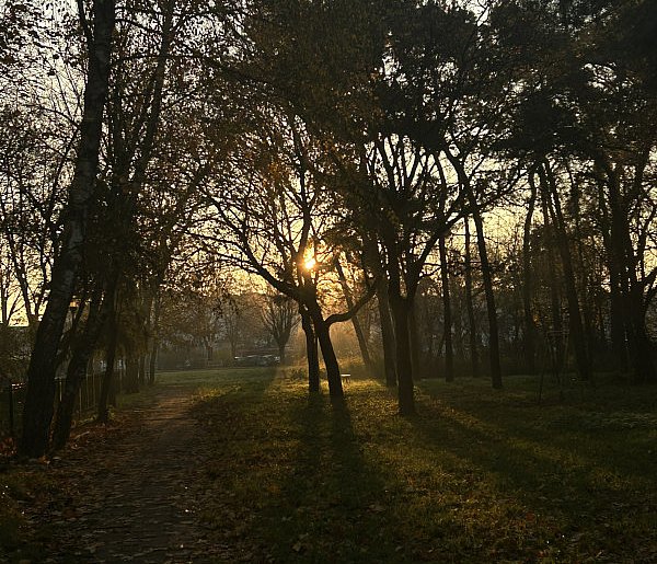Nadchodzi najkrótszy dzień w 2025 roku. Sprawdź, kiedy przypadnie-10956