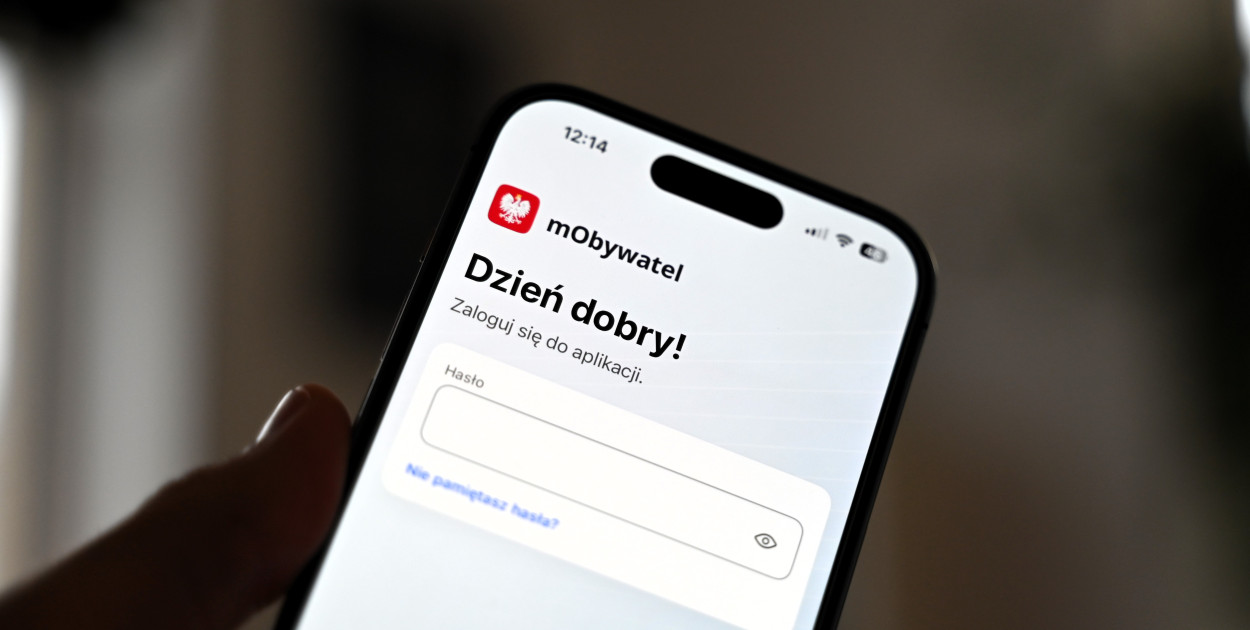 Fot. ddwloclawek.pl / siecportali.pl